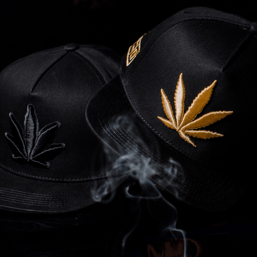420 LENIN RAMIREZ COLLECTION