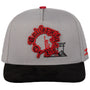 UNIVERSITY OF LIFE GRAY