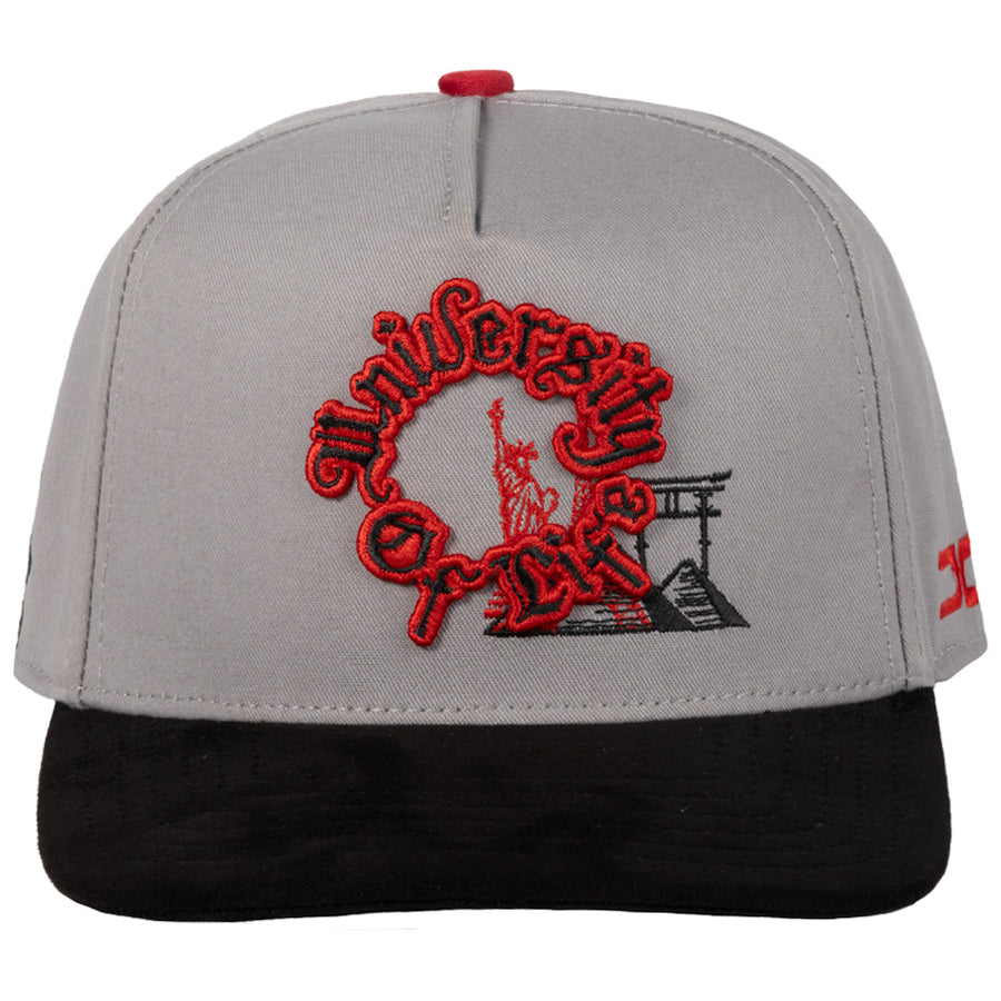 UNIVERSITY OF LIFE GRAY