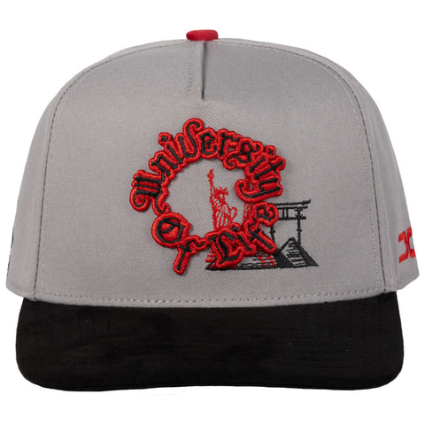 UNIVERSITY OF LIFE GRAY