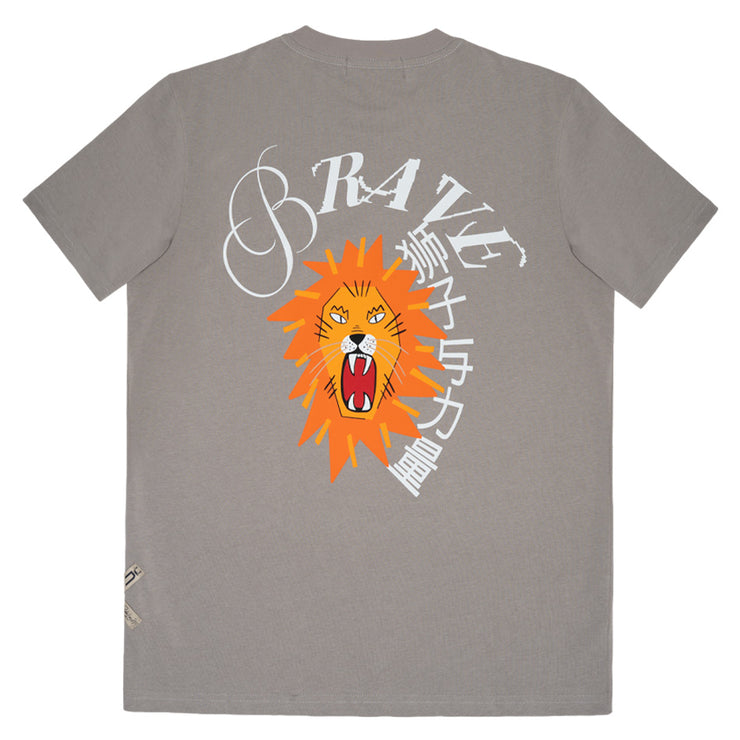 LION GRAY