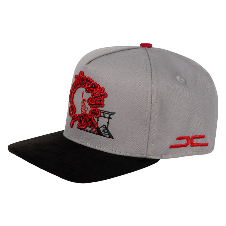 UNIVERSITY OF LIFE GRAY