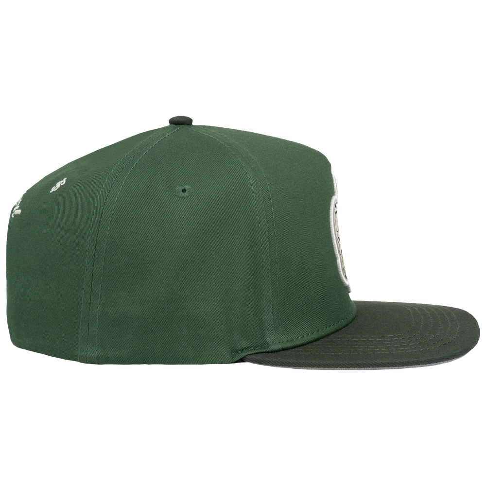 
                  
                    HI MONEY GREEN
                  
                