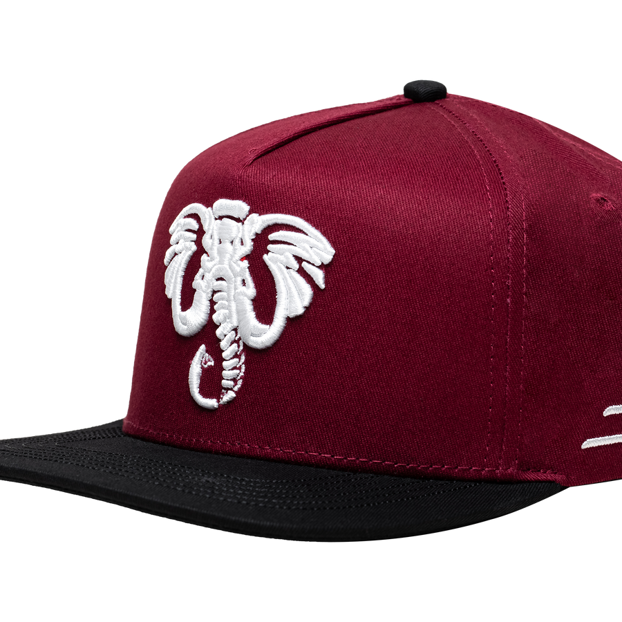 ELEPHANT BURGUNDY